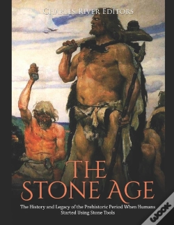 Capa do artigo The Stone Age