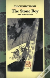 Capa do artigo The Stone Boy And Other Stories