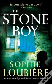 Capa do artigo The Stone Boy