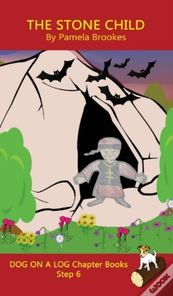 Capa do artigo The Stone Child Chapter Book