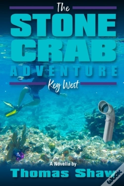 Capa do artigo The Stone Crab Adventure