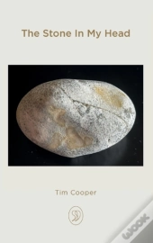 The Stone In My Head