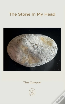 Capa do artigo The Stone In My Head
