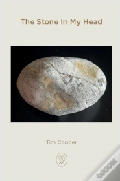 Capa do artigo The Stone In My Head