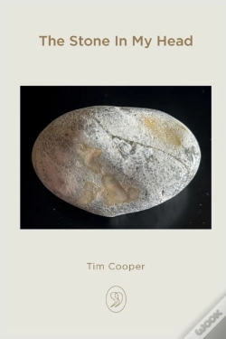 Capa do artigo The Stone In My Head