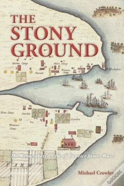 Capa do artigo The Stony Ground
