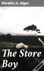 Capa do artigo The Store Boy