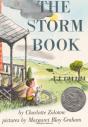 The Storm Book - Preview