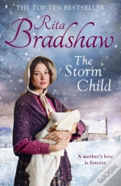 Capa do artigo The Storm Child