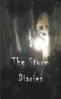 The Storm Diaries - Preview