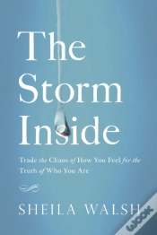 Capa do artigo The Storm Inside