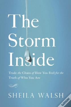 Capa do artigo The Storm Inside
