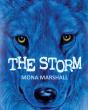 The Storm - Preview