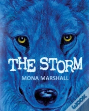 Capa do artigo The Storm