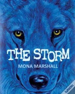 Capa do artigo The Storm