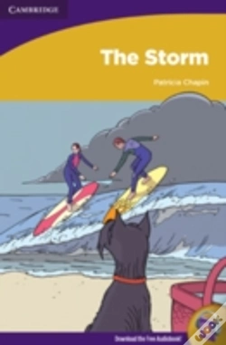 Capa do artigo The Storm