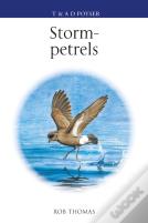 The Storm-Petrels