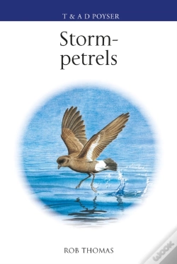 Capa do artigo The Storm-Petrels
