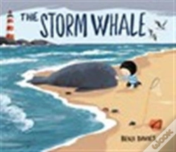 Capa do artigo The Storm Whale