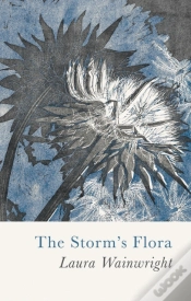 Capa do artigo The Storm