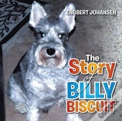 Capa do artigo The Story Of Billy Biscuit