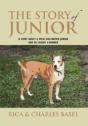 The Story Of Junior - Preview