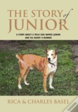 Capa do artigo The Story Of Junior