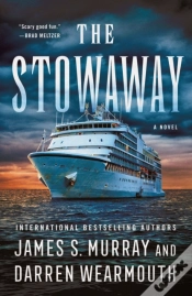 Capa do artigo The Stowaway