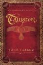 The Strangerâ€™S Guide To Talliston - Preview