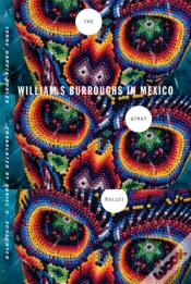 Capa do artigo The Stray Bullet