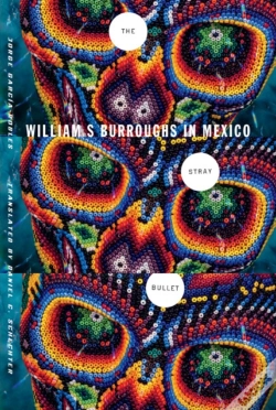 Capa do artigo The Stray Bullet