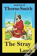 The Stray Lamb Annotated