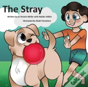 Capa do artigo The Stray