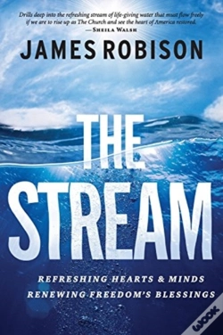 Capa do artigo The Stream