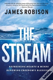 Capa do artigo The Stream
