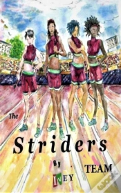 Capa do artigo The Striders Team