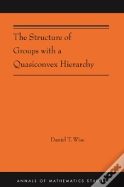 Capa do artigo The Structure Of Groups With A Quasiconvex Hierarchy