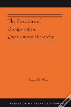 Capa do artigo The Structure Of Groups With A Quasiconvex Hierarchy