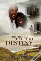 Capa do artigo The Struggle To Get To Destiny
