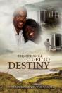 The Struggle To Get To Destiny - Preview