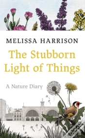 Capa do artigo The Stubborn Light Of Things