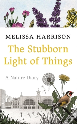Capa do artigo The Stubborn Light Of Things