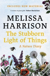 Capa do artigo The Stubborn Light Of Things