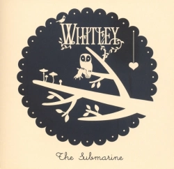 Capa do artigo The Submarine - CD
