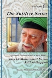 The Sufilive Series, Volume 6