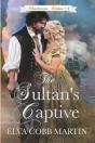 The Sultan'S Captive - Preview