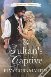 Capa do artigo The Sultan