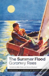 Capa do artigo The Summer Flood