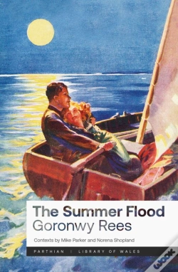 Capa do artigo The Summer Flood