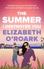 The Summer I Destroyed You - Preview